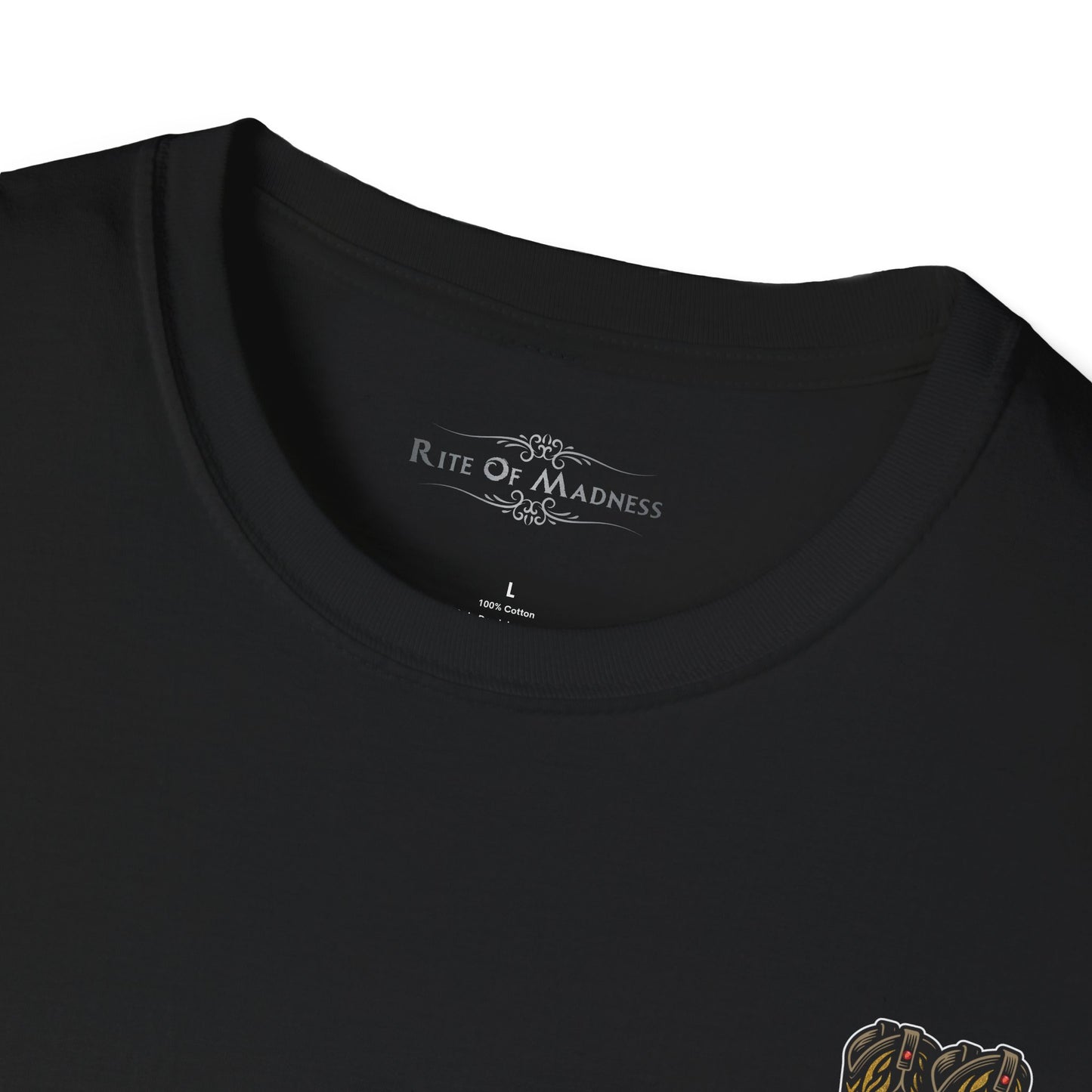 Backroad Tunes Men's Softstyle Tee