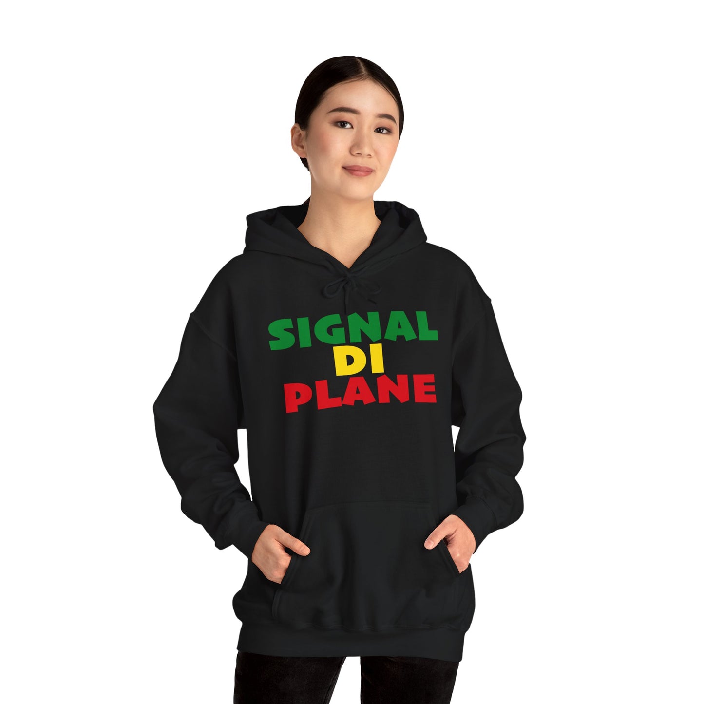 Bold Signal Di Plane Women's Heavy Blend Hoodie